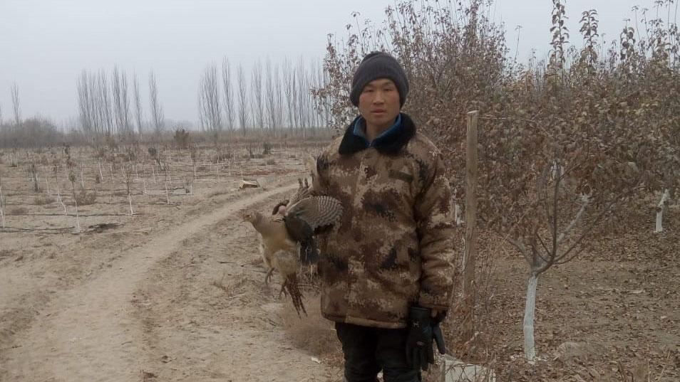 孔元峰在新疆阿克苏看守果园