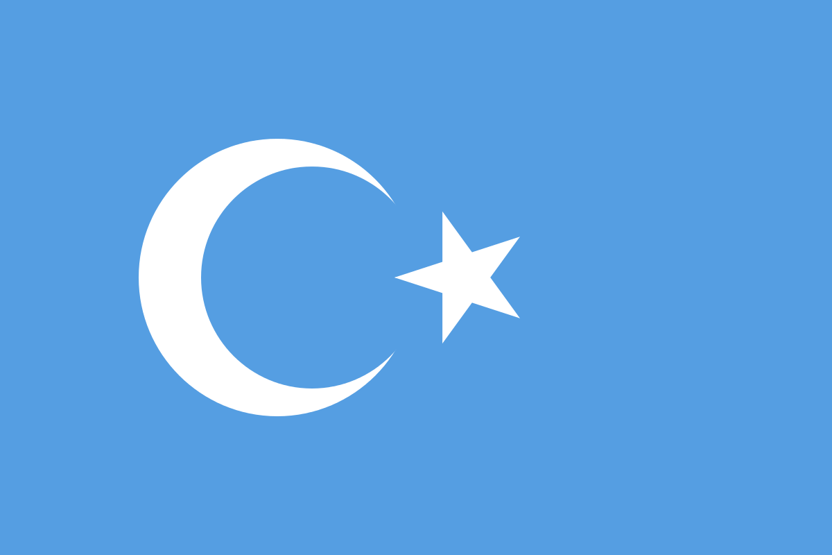 东突厥斯坦旗