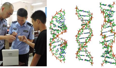 左图为警察采集初中男生的DNA样本（网络图片），右图为DNA