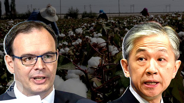 智库: 超五十七万新疆人被强迫手工摘棉花