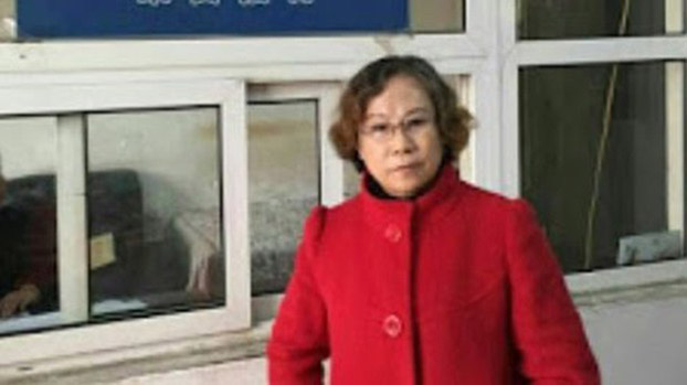 曾多次代理人权案件的中国律师李昱函被授予德法人权法治奖。